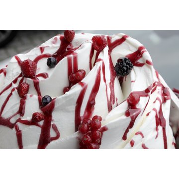 Obrázek 1 produktu JOYTOPPING LESNÍ PLODY 6x1kg