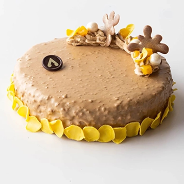 Obrázek 1 produktu IRCA CHOCOSMART KARAMEL CRUMBLE - karamelová poleva a náplň s křupinkami 5 kg