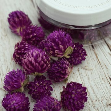 Obrázek 1 produktu ROSIE ROSE - SUŠENÉ KVĚTY Pestrovka kulovitá fialová 15ks