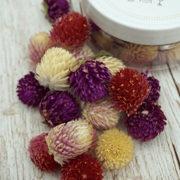 Obrázek 1 produktu ROSIE ROSE - SUŠENÉ KVĚTY Pestrovka kulovitá mix barev 15ks