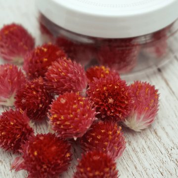 Obrázek 1 produktu ROSIE ROSE - SUŠENÉ KVĚTY Pestrovka kulovitá červená 15ks