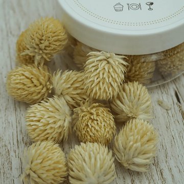 Obrázek 1 produktu ROSIE ROSE - SUŠENÉ KVĚTY Pestrovka kulovitá bílá 15ks