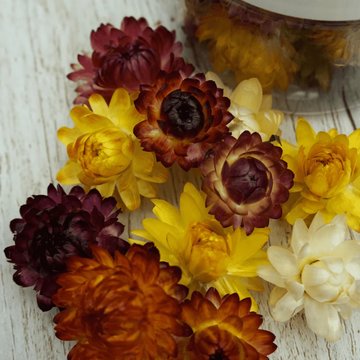 Obrázek 1 produktu ROSIE ROSE - SUŠENÉ SLAMĚNÉ KVĚTY mix barev 15ks