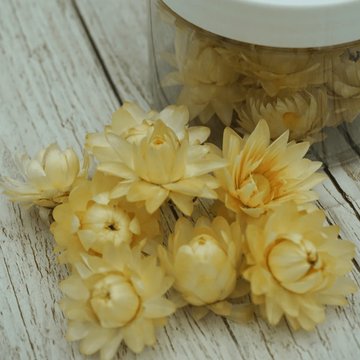 Obrázek 1 produktu ROSIE ROSE - SUŠENÉ SLAMĚNÉ KVĚTY bílé 15ks