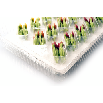 Obrázek 1 produktu DOBLA DEKOR TULIPÁNY 144ks