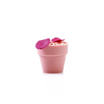 Obrázek 6 produktu DOBLA KORPUS KVĚTINÁČ VELKÝ RŮŽOVÝ 6,2x5,5cm 28ks