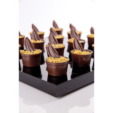 Obrázek 1 produktu DOBLA KORPUS KVĚTINÁČ HOŘKÝ pr.35mm v.23mm 294ks