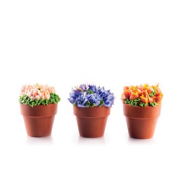 Obrázek 8 produktu DOBLA KORPUS KVĚTINÁČ VELKÝ TERAKOTA 6,2x5,5cm 28ks