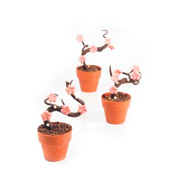 Obrázek 7 produktu DOBLA KORPUS KVĚTINÁČ VELKÝ TERAKOTA 6,2x5,5cm 28ks