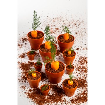 Obrázek 1 produktu DOBLA KORPUS KVĚTINÁČ VELKÝ TERAKOTA 6,2x5,5cm 28ks