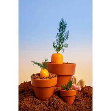 Obrázek 2 produktu DOBLA KORPUS KVĚTINÁČ VELKÝ TERAKOTA 6,2x5,5cm 28ks