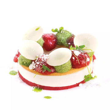 Obrázek 6 produktu SIL FORMA SILIKON bílá - THE RING 65 Ø85mm v.18mm 65ml