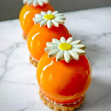 Obrázek 5 produktu SIL FORMA SILIKON bílá - TRUFFLES 120 (koule) Ø62mm v.52mm 120ml