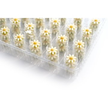 Obrázek 4 produktu DOBLA DEKOR SEDMIKRÁSKA DAISY pr.2cm 200ks