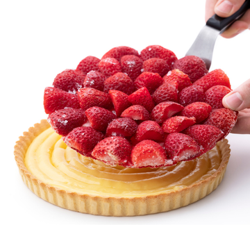 Obrázek 4 produktu DIRA JAHODOVÝ DISK mražený pr.19cm 24 ks