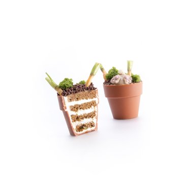 Obrázek 6 produktu DOBLA KORPUS KVĚTINÁČ VELKÝ TERAKOTA 6,2x5,5cm 28ks