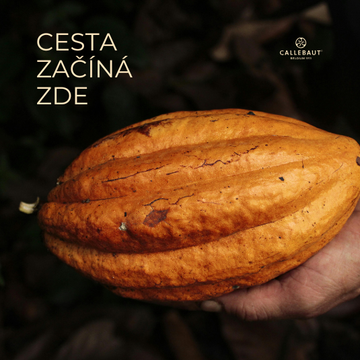 Obrázek 3 produktu C ČOKOLÁDA ZESTINA TANZÁNIE ORIGIN HOŘKÁ 75% 1 kg