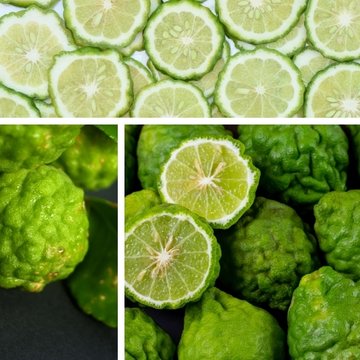 Obrázek 1 produktu PONTHIER MRAŽENÉ PYRÉ BERGAMOT 100% 1 kg