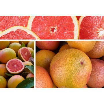 Obrázek 2 produktu PONTHIER MRAŽENÉ PYRÉ RŮŽOVÝ GRAPEFRUIT 100% 1 kg