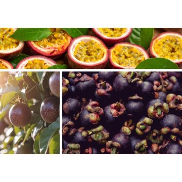 Obrázek 1 produktu PONTHIER MRAŽENÉ PYRÉ MARACUJA Flavicarpa 5 kg