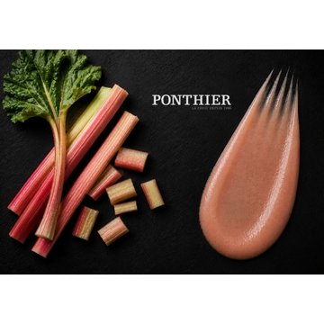 Obrázek 1 produktu PONTHIER MRAŽENÉ PYRÉ REBARBORA Frambosa 1 kg