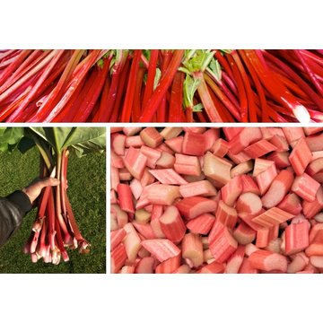 Obrázek 2 produktu PONTHIER MRAŽENÉ PYRÉ REBARBORA Frambosa 1 kg