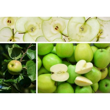 Obrázek 1 produktu PONTHIER MRAŽENÉ PYRÉ ZELENÉ JABLKO Granny Smith 1 kg