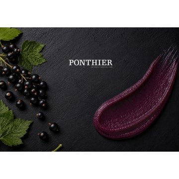 Obrázek 2 produktu PONTHIER MRAŽENÉ PYRÉ ČERNÝ RYBÍZ Noir de Bourgogne 5 kg