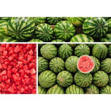 Obrázek 1 produktu PONTHIER MRAŽENÉ PYRÉ ČERVENÝ MELOUN 100% 1 kg