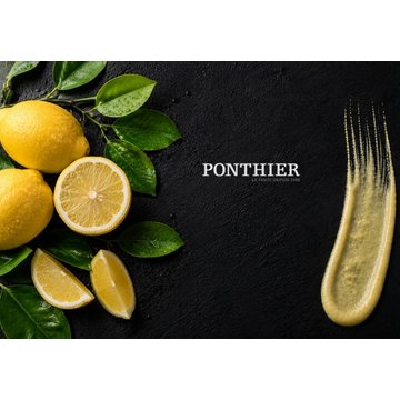 Obrázek 2 produktu PONTHIER MRAŽENÉ PYRÉ CITRON PGI Siracusa 100% 1 kg
