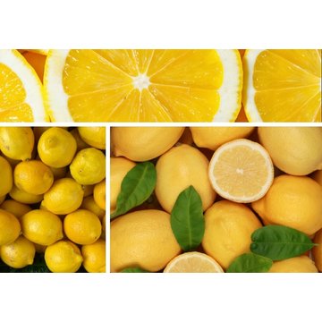 Obrázek 1 produktu PONTHIER MRAŽENÉ PYRÉ CITRON PGI Siracusa 100% 1 kg