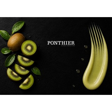 Obrázek 2 produktu PONTHIER MRAŽENÉ PYRÉ KIWI PGI Adour 100% 1 kg