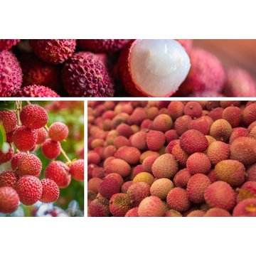 Obrázek 1 produktu PONTHIER MRAŽENÉ PYRÉ LIČI 1 kg
