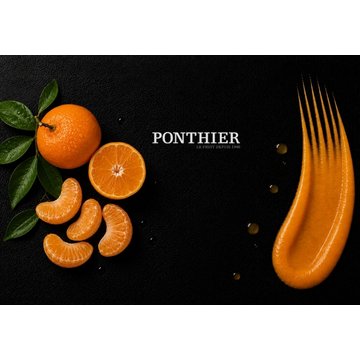 Obrázek 1 produktu PONTHIER MRAŽENÉ PYRÉ MANDARINKA Tardivo di Ciaculli 100% 1 kg