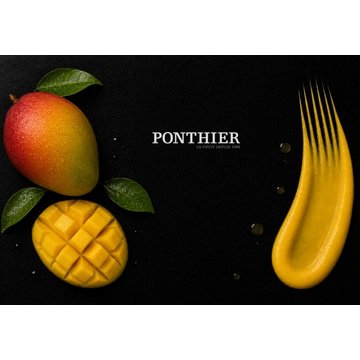 Obrázek 2 produktu PONTHIER MRAŽENÉ PYRÉ MANGO Alphonso 100% 5 kg