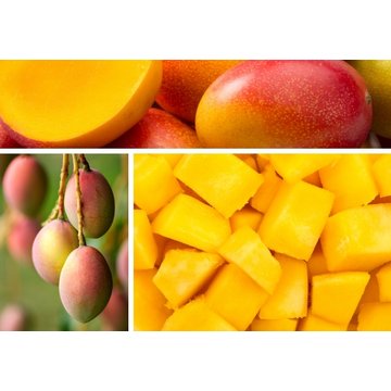 Obrázek 1 produktu PONTHIER MRAŽENÉ PYRÉ MANGO Alphonso 100% 5 kg