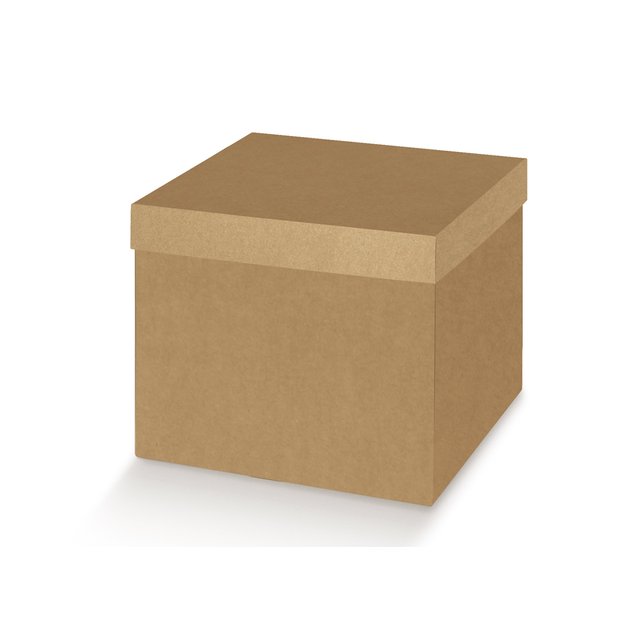 Obrázek produktu SC Krabice přírodní s víkem 250x250x300mm 20x1ks