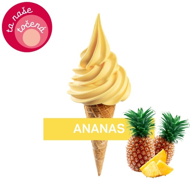 Obrázek produktu ALMECO FRUTTA ANANAS 6x2 kg