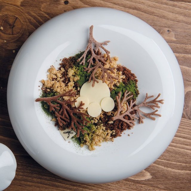 Obrázek produktu PAV FORMA SILIKON šedá - 30x20cm - VĚTVIČKA 10ks 2ml