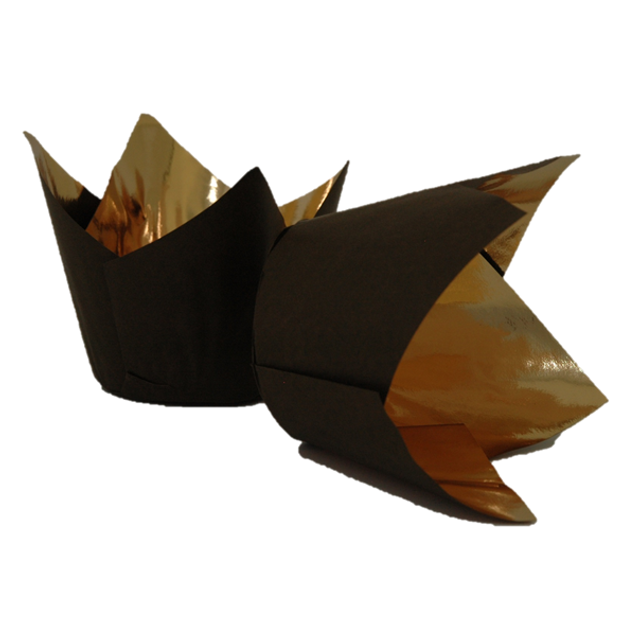 Obrázek produktu KOŠÍČEK TULIP ROYAL 50x80 mm 10x100 ks