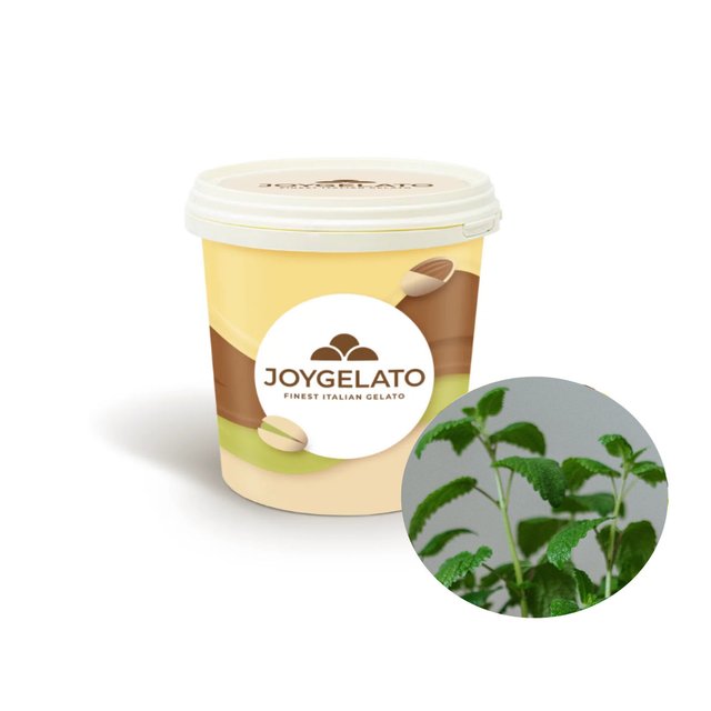 Obrázek produktu JOYPASTE MÁTA (mint) 6x1,2kg