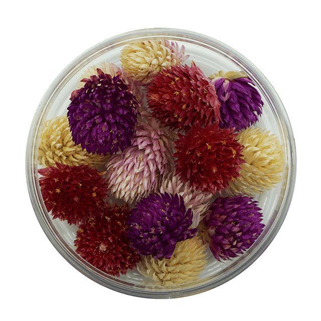 Obrázek produktu ROSIE ROSE - SUŠENÉ KVĚTY Pestrovka kulovitá mix barev 15ks