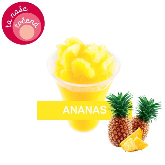 Obrázek produktu ALMECO LEDOVÁ TŘÍŠŤ ANANAS 16x750g