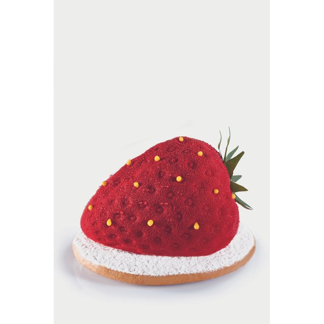 Obrázek produktu PAV FORMA SILIKON černá - 60x40cm - JAHODA 71x54x46mm; 90ml