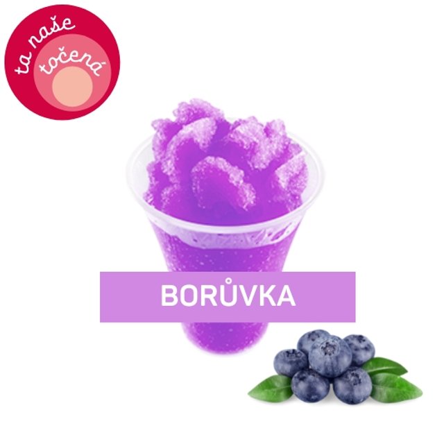 Obrázek produktu ALMECO LEDOVÁ TŘÍŠŤ BORŮVKA 16x750g