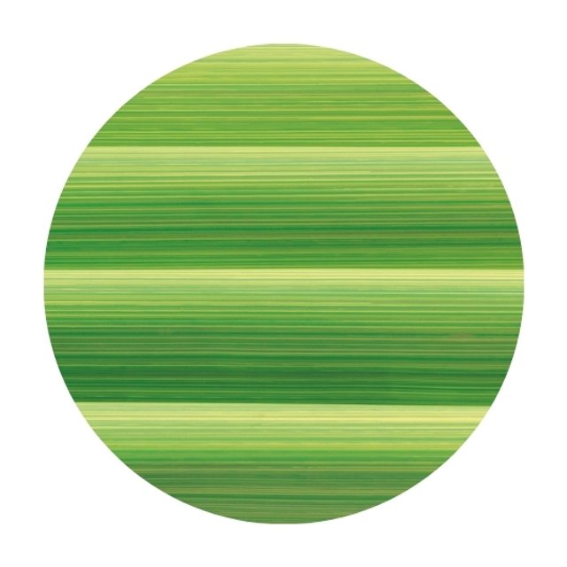 Obrázek produktu PCB TRANSFER FOLIE ZELENÉ PROUŽKY 40x25cm 17ks