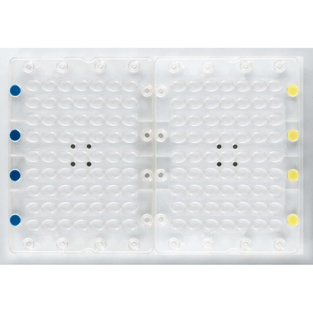 Obrázek produktu PCB FORMA MAGNETICKÁ NA VAJÍČKA 1 ks