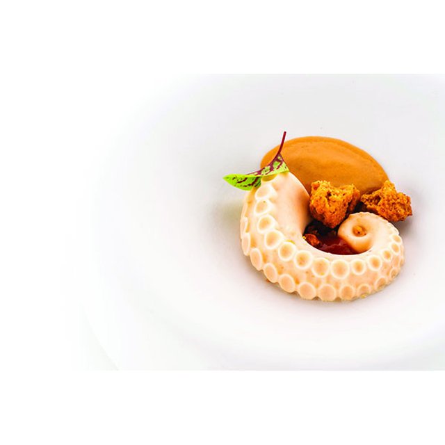 Obrázek produktu SIL FORMA SILIKON žlutá - POLPO 20- noha chobotnice 12ks 6x5,5x1,2cm 20ml