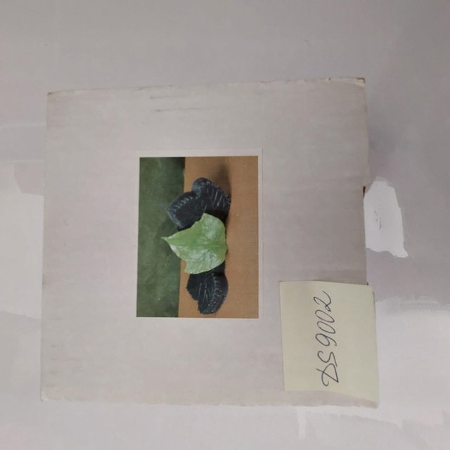 Obrázek produktu MA FORMA NA KARAMEL list břečťan