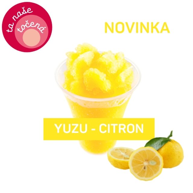 Obrázek produktu ALMECO LEDOVÁ TŘÍŠŤ YUZU - CITRON 16x750g